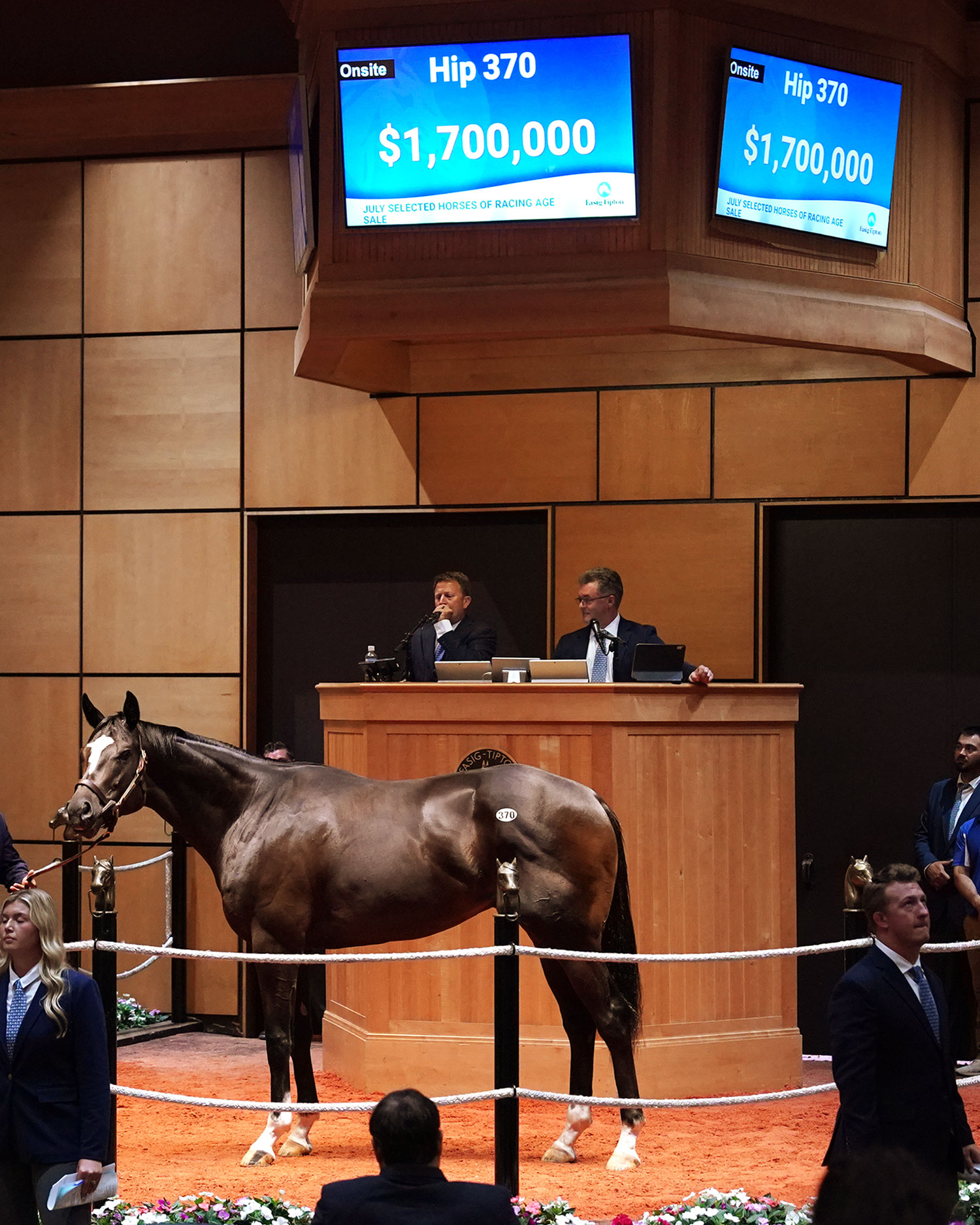 Romeo - Sale Topper